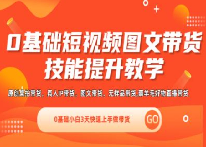 0基础短视频图文带货实操技能提升教学(直播课+视频课),0基础小白3天快速上手做带货-林文副业站