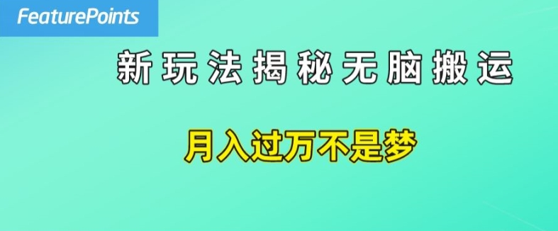 简单操作，每天50美元收入，搬运就是赚钱的秘诀【揭秘】-林文副业站