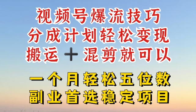 视频号爆流技巧，分成计划轻松变现，搬运 +混剪就可以，一个月轻松五位数稳定项目【揭秘】-林文副业站