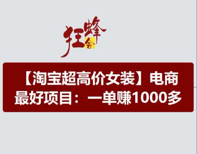 淘宝超高价女装项目，电商最好赛道，一单赚1000多-林文副业站