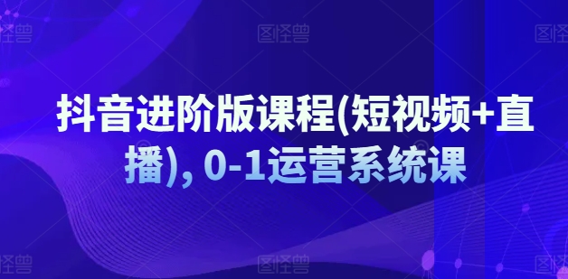 抖音进阶版课程(短视频+直播), 0-1运营系统课-林文副业站