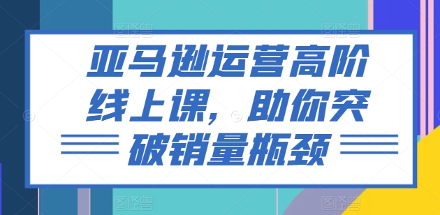 亚马逊运营高阶线上课，助你突破销量瓶颈-林文副业站
