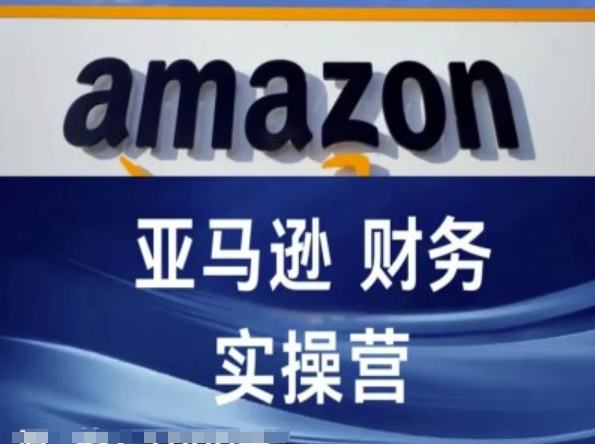 亚马逊财务核算实操营-亚马逊跨境电商教程-林文副业站