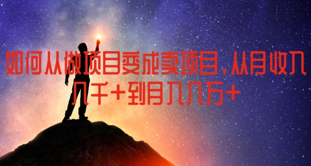 如何从做项目变成卖项目，从月收入几千到月入几万【揭秘】-林文副业站