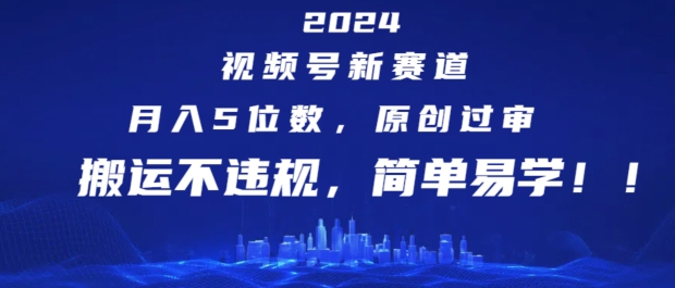 2024视频号新赛道，月入5位数+，原创过审，搬运不违规，简单易学【揭秘】-林文副业站