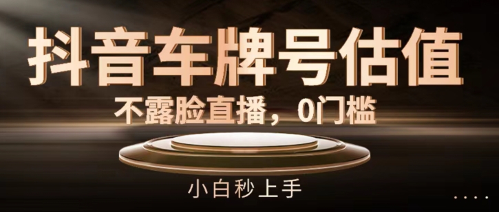 抖音车牌号估值，不露脸直播，0门槛，小白秒上手【揭秘】-林文副业站