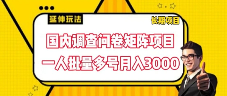 国内调查问卷矩阵项目，一人批量多号月入3000【揭秘】-林文副业站