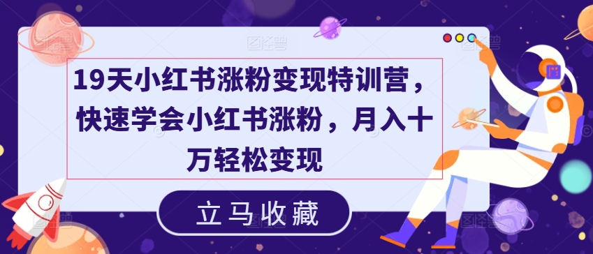 19天小红书涨粉变现特训营，快速学会小红书涨粉，月入十万轻松变现-林文副业站