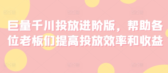 巨量千川投放进阶版，帮助各位老板们提高投放效率和收益-林文副业站