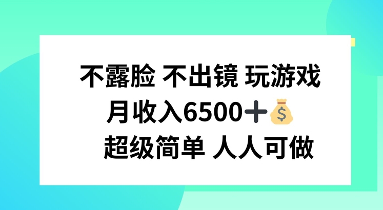 不露脸 不出境 玩游戏，月入6500 超级简单 人人可做【揭秘】-林文副业站