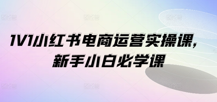 1V1小红书电商运营实操课，新手小白必学课-林文副业站