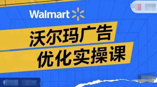 沃尔玛广告优化实操课，广告报告实操讲解，广告如何提高转化和ROAS等-林文副业站