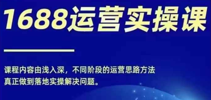 1688实操运营课，零基础学会1688实操运营，电商年入百万不是梦-林文副业站
