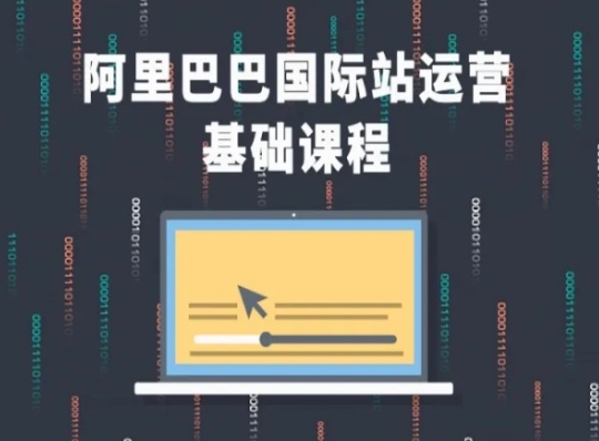 阿里巴巴国际站课程，阿里巴巴国际站运营基础课程-林文副业站