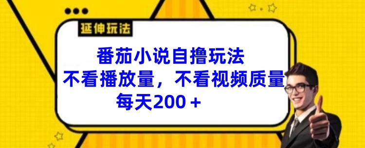 番茄小说自撸玩法，不看播放量，不看视频质量，每天200+【揭秘】-林文副业站