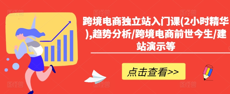 跨境电商独立站入门课(2小时精华),趋势分析/跨境电商前世今生/建站演示等-林文副业站