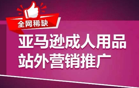 全网稀缺！亚马逊成人用品站外营销推广，​教你引爆站外流量，开启爆单模式-林文副业站