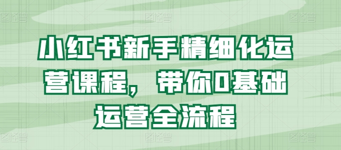 小红书新手精细化运营课程，带你0基础运营全流程-林文副业站