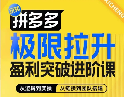 拼多多极限拉升盈利突破进阶课，​从算法到玩法，从玩法到团队搭建，体系化系统性帮助商家实现利润提升-林文副业站