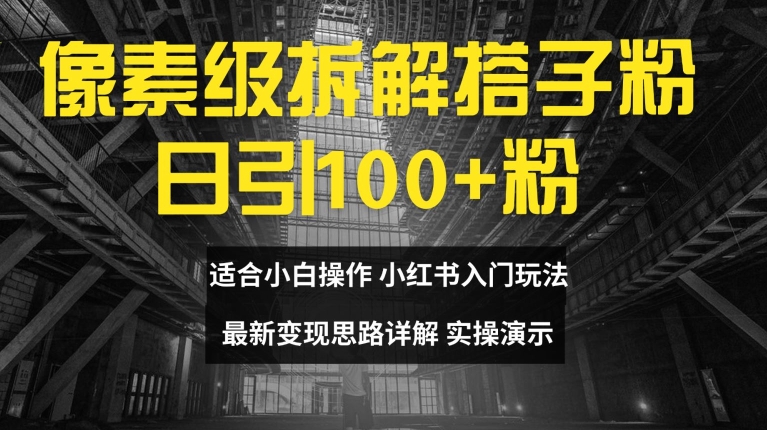 像素级拆解搭子粉，日引100+，小白看完可上手，最新变现思路详解【揭秘】-林文副业站