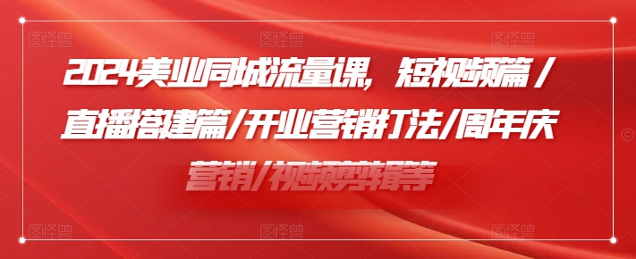 2024美业同城流量课，短视频篇 /直播搭建篇/开业营销打法/周年庆营销/视频剪辑等-林文副业站