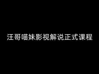 汪哥影视解说正式课程：剪映/PR教学/视解说剪辑5大黄金法则/全流程剪辑7把利器等等-林文副业站