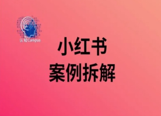 小红书案例拆解，深度解读小红书40万粉-林文副业站