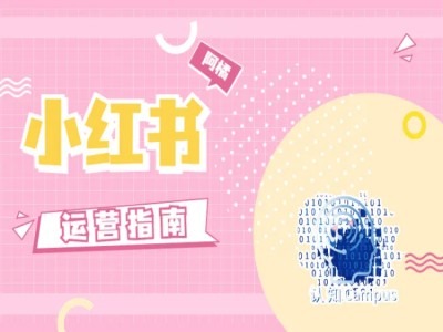小红书运营指南，没有套路，全是经验-林文副业站