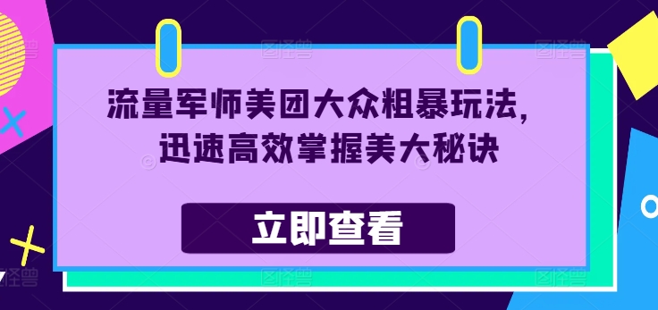 流量军师美团大众粗暴玩法，迅速高效掌握美大秘诀-林文副业站