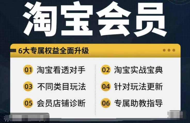 淘宝会员【淘宝所有课程，全面分析对手】，初级到高手全系实战宝典-林文副业站