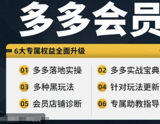 拼多多会员，拼多多实战宝典+实战落地实操，从新手到高阶内容全面覆盖-林文副业站