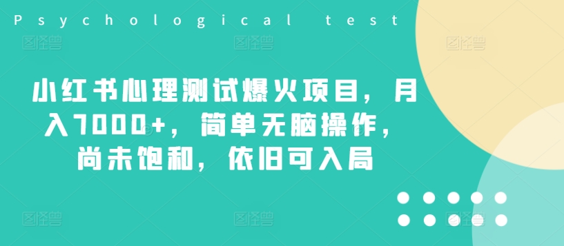 小红书心理测试爆火项目，月入7000+，简单无脑操作，尚未饱和，依旧可入局-林文副业站