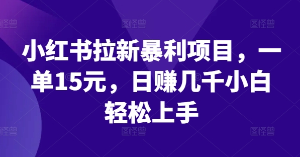 小红书拉新暴利项目，一单15元，日赚几千小白轻松上手【揭秘】-林文副业站