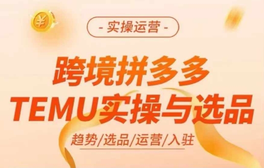 跨境拼多多TEMU实操与选品，多多temu跨境选品运营实操-林文副业站