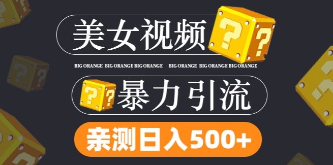 搬运tk美女视频全网分发，日引s粉300+，轻松变现，不限流量不封号【揭秘】-林文副业站
