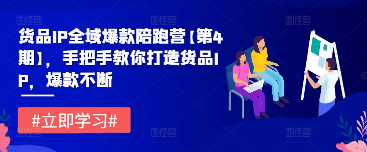 货品IP全域爆款陪跑营【第4期】，手把手教你打造货品IP，爆款不断-林文副业站