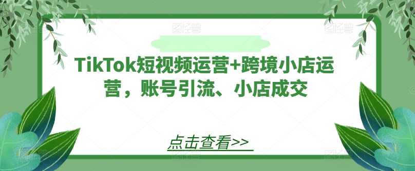 TikTok短视频运营+跨境小店运营，账号引流、小店成交-林文副业站