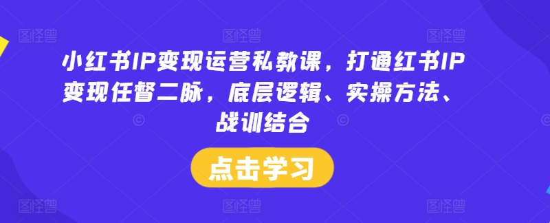 小红书IP变现运营私教课，打通红书IP变现任督二脉，底层逻辑、实操方法、战训结合-林文副业站