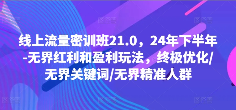 线上流量密训班21.0，24年下半年-无界红利和盈利玩法，终极优化/无界关键词/无界精准人群-林文副业站