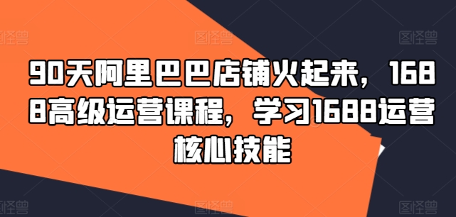 90天阿里巴巴店铺火起来，1688高级运营课程，学习1688运营核心技能-林文副业站