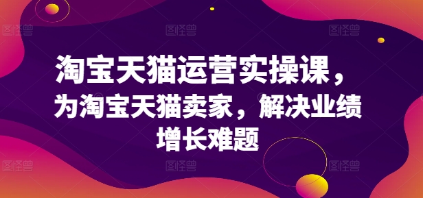 淘宝天猫运营实操课，为淘宝天猫卖家，解决业绩增长难题-林文副业站
