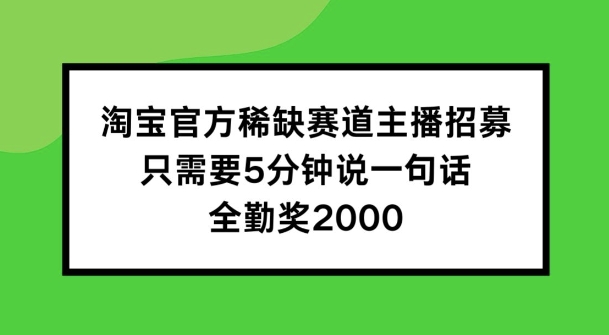 淘宝官方稀缺赛道主播招募 ，只需要5分钟说一句话， 全勤奖2000【揭秘】-林文副业站