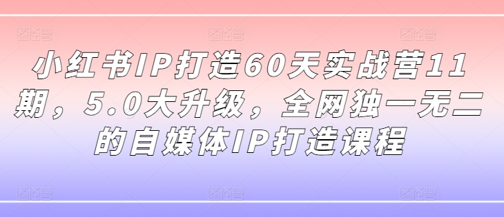 小红书IP打造60天实战营11期，5.0大升级，全网独一无二的自媒体IP打造课程-林文副业站