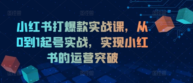 小红书打爆款实战课，从0到1起号实战，实现小红书的运营突破-林文副业站
