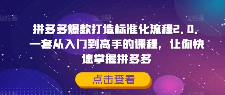拼多多爆款打造标准化流程2.0，一套从入门到高手的课程，让你快速掌握拼多多-林文副业站