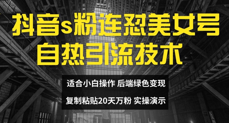 抖音s粉连怼美女号自热引流技术复制粘贴，20天万粉账号，无需实名制，矩阵操作【揭秘】-林文副业站