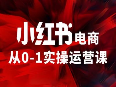 小红书电商从0-1实操运营课，让你从小白到精英-林文副业站