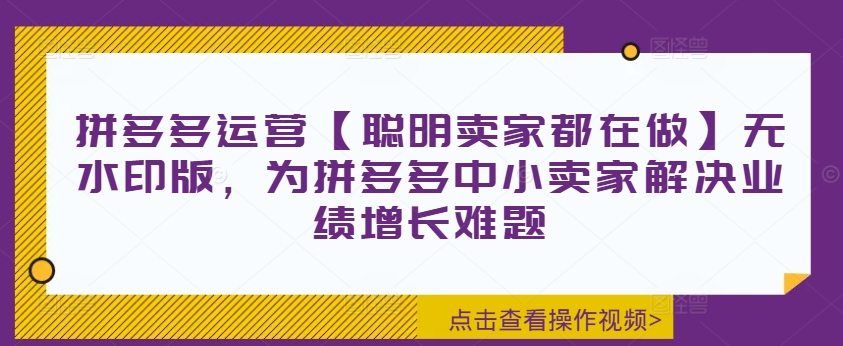 拼多多运营【聪明卖家都在做】无水印版，为拼多多中小卖家解决业绩增长难题-林文副业站