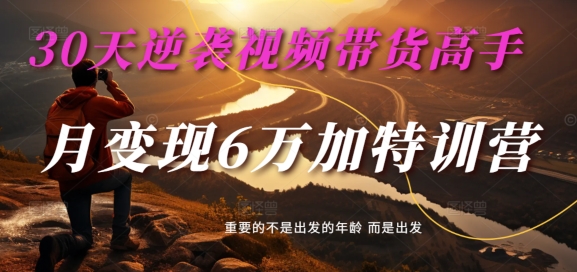 30天逆袭视频带货高手，单月变现6万加特训营-麦子甜-林文副业站