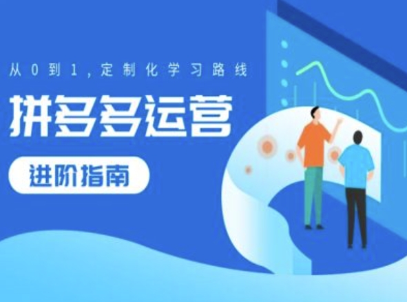 拼多多运营进阶指南，从0到1定制化学习路线-林文副业站